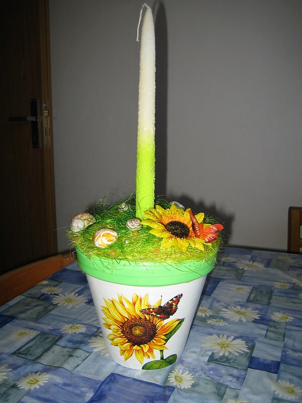 zelený slnečnicový